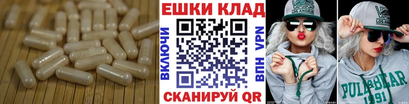 Купить закладки  Медынь  Экстази 250 мг 