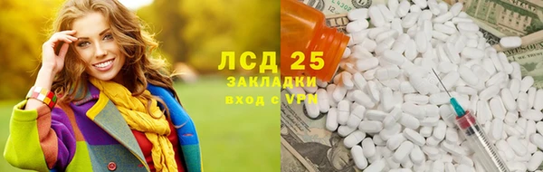 прущие грибы Лихославль