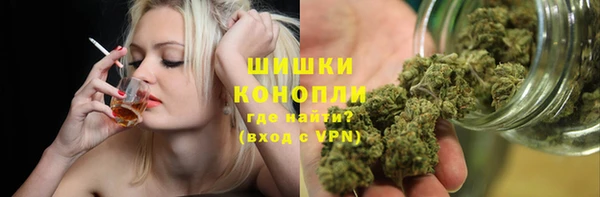 прущие грибы Лихославль
