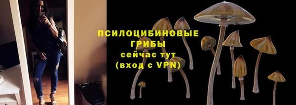 прущая мука Липки