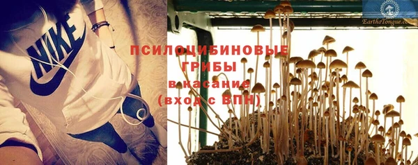 прущая мука Липки