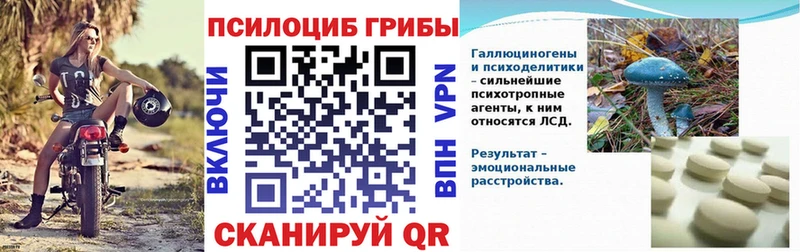 Псилоцибиновые грибы мухоморы  Купить закладки  Медынь 